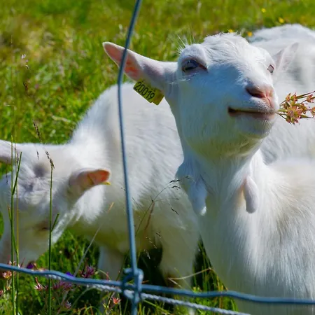 Mountain Getaway With Sauna And Views Σπίτι διακοπών Beitostolen