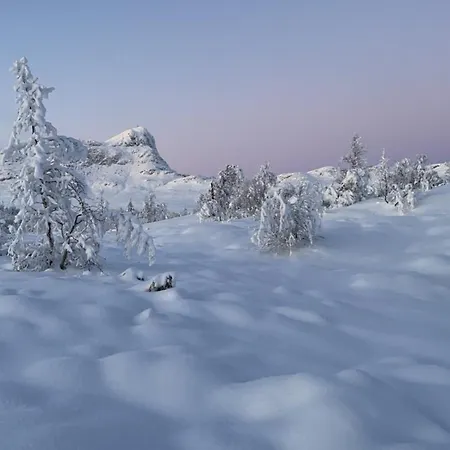 別荘 Mountain Getaway With Sauna And Views Beitostolen
