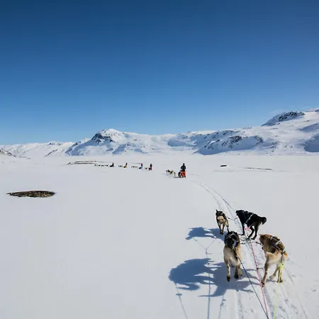 Mountain Getaway With Sauna And Views * Beitostolen