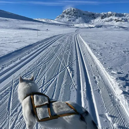 Casa de Férias Mountain Getaway With Sauna And Views