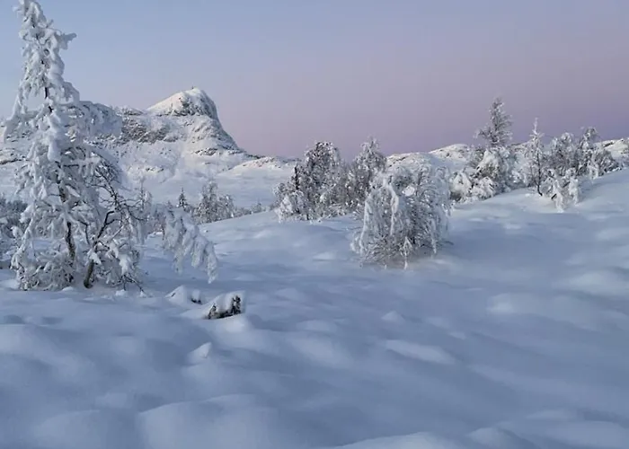 度假居 Mountain Getaway With Sauna And Views Beitostolen